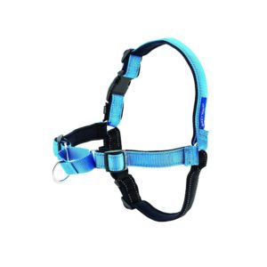 PetSafe Dogs Blue Lead